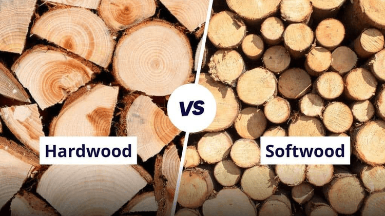 Hardwood vs Softwood