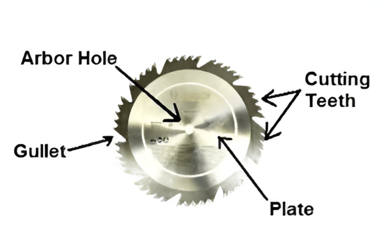Key parts of a saw blade