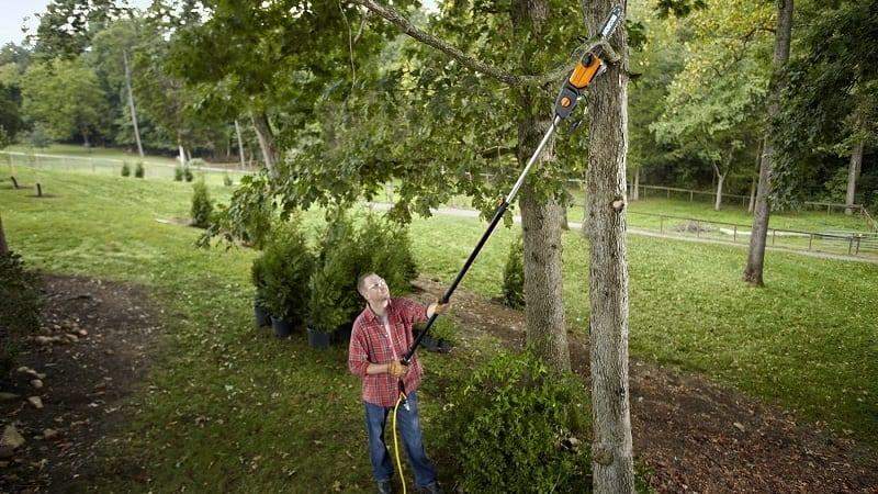 Pole saw blade length