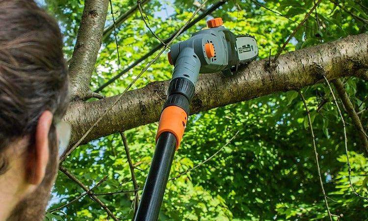 Pole saw