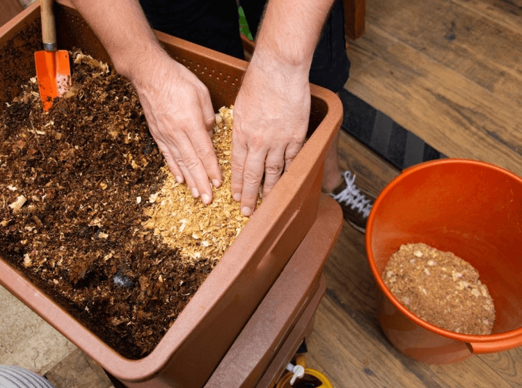 Sawdust used for planting